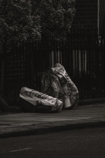 A middle-aged woman wearing a short-sleeved black T-shirt with printed text and dark trousers is seen disposing of waste into a metallic recycling bin located on a paved sidewalk. She is bent over slightly, holding a large white plastic bag filled with rubbish in her left hand, while her right hand is reaching towards the top of the bin. The bin is cylindrical with a brushed metal finish, positioned next to a concrete railing that runs along a park or garden area. The background features lush green trees and foliage, with sunlight filtering through the leaves, creating a natural outdoor setting. The scene is clean and orderly, capturing a moment of private waste disposal in a public space, which aligns with concepts of independent collection or on-site rubbish management. Waste Removal Belgravia's service focus on rubbish removal is subtly supported by this visual depiction of waste being prepared for collection, emphasizing environmental responsibility and professional waste handling.